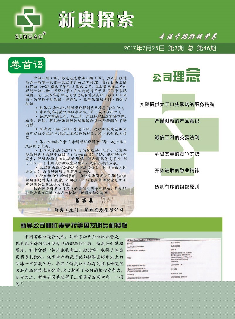 铁岭_新澳门期期准精准,欺瞒实时更新请全面释义、解释与落实